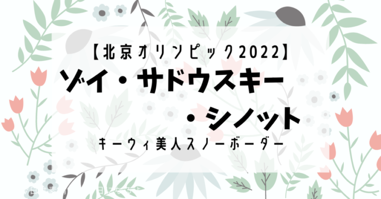 シノット・コンプリミドスのリーフレット